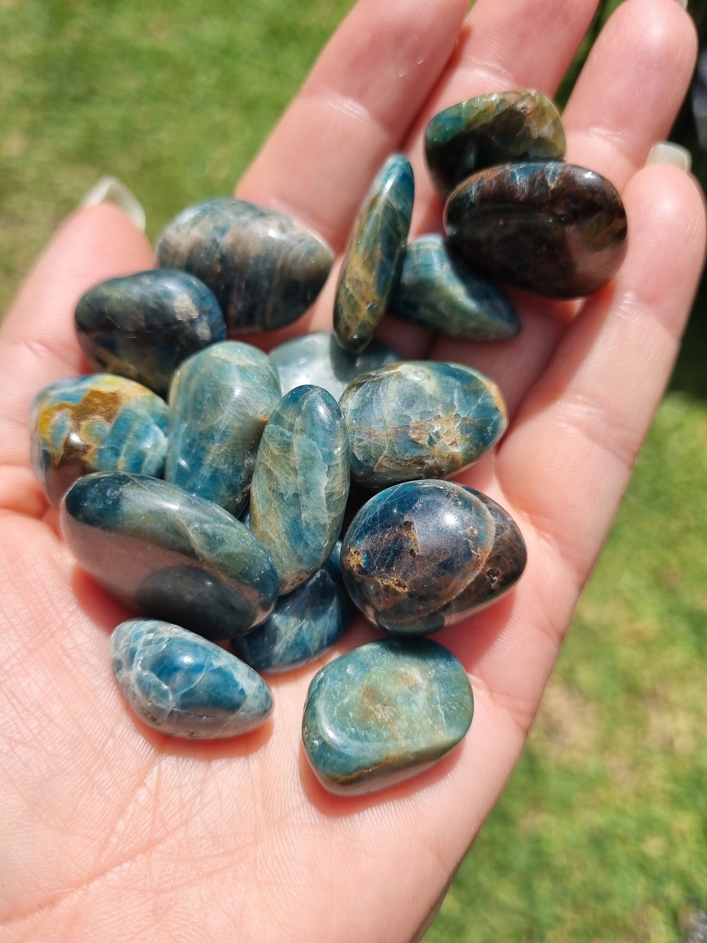 High Quality Blue Apatite Tumble - Universal Fate