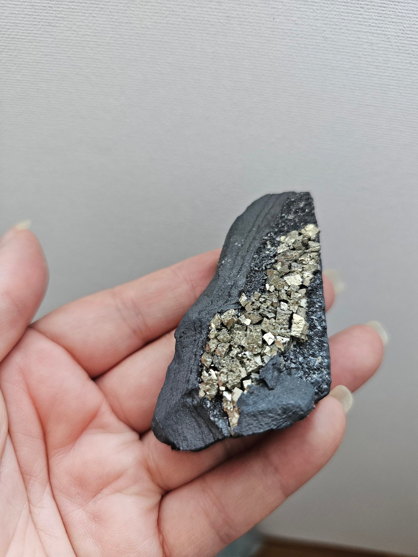 Pyrite on Shunghite / Raw crystals / Crystals with pyrite inclusions