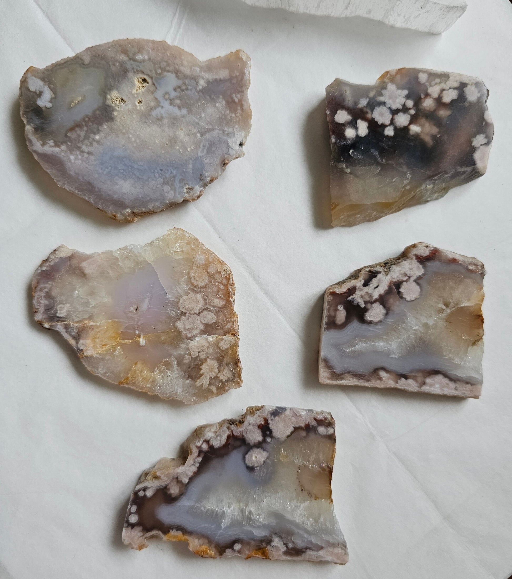 Flower Agate Slices