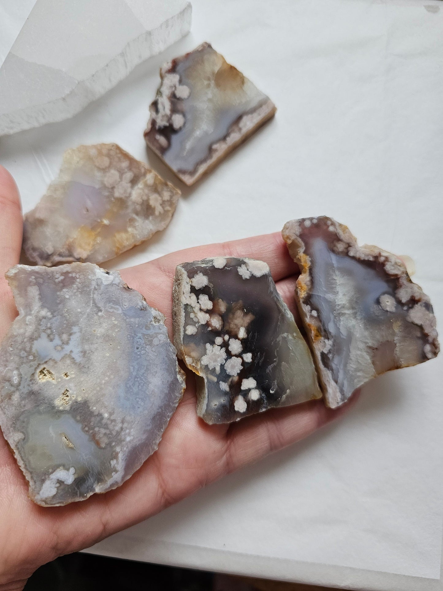 Flower Agate Slices