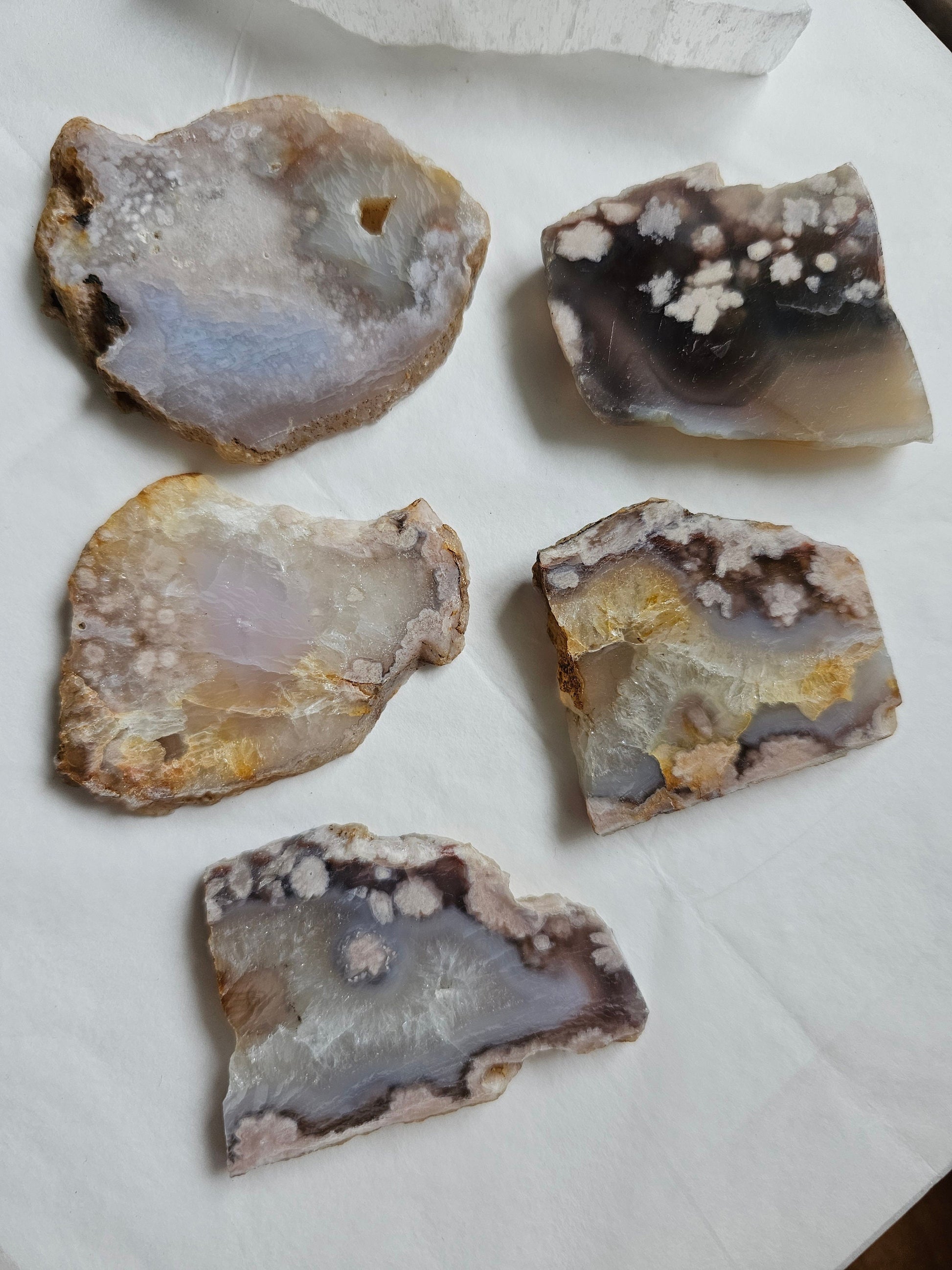 Flower Agate Slices