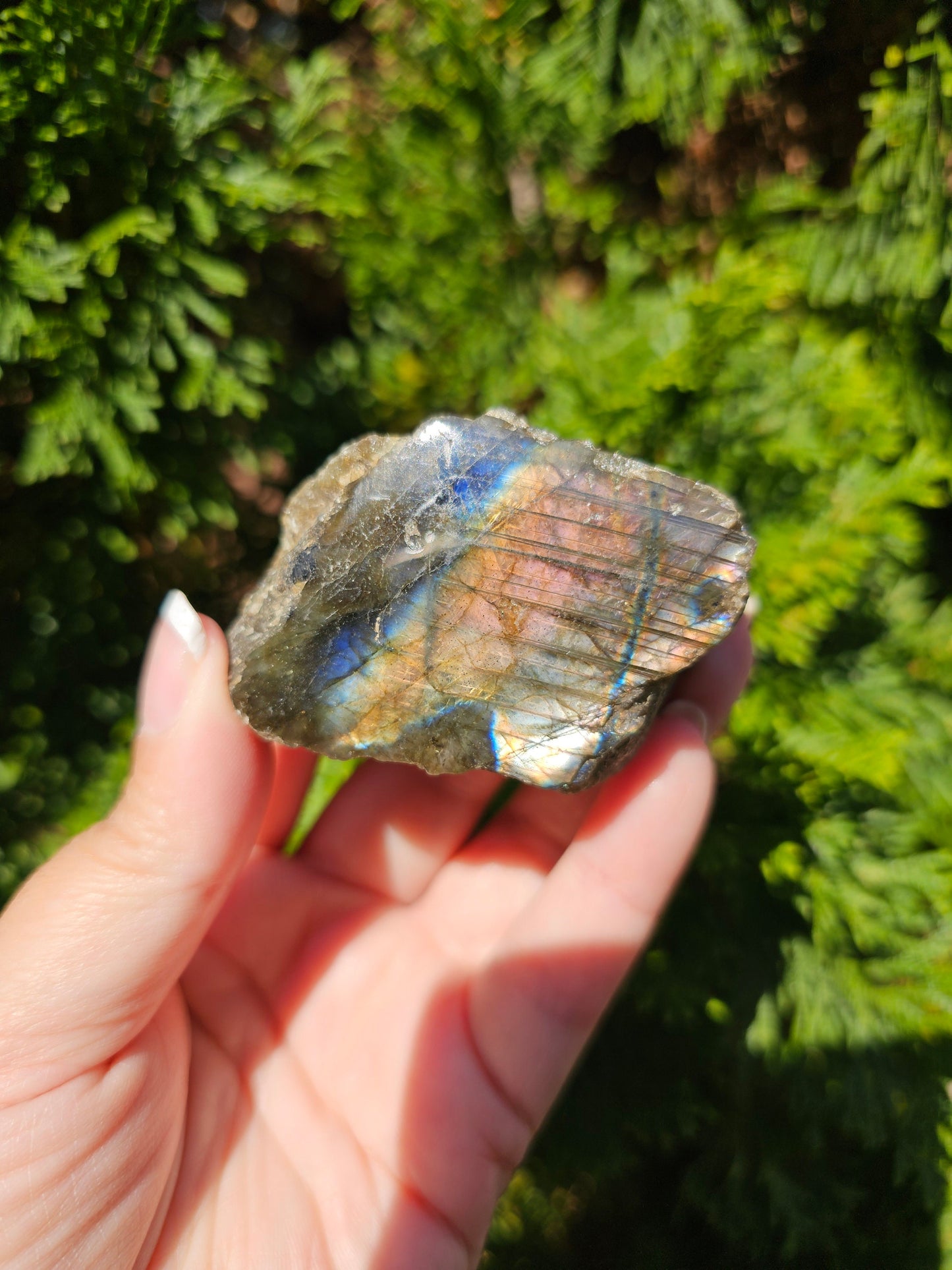 Raw Sunset and Unicorn Flash Labradorite