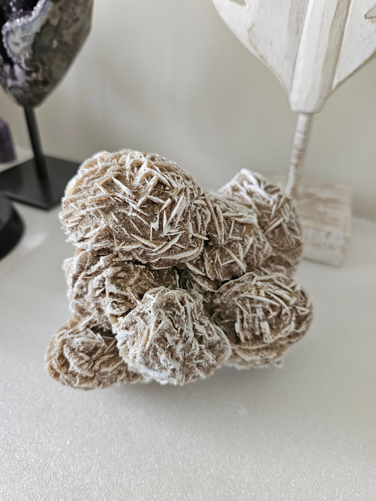 XLarge Desert Rose Cluster 1.3kg - Collectors item