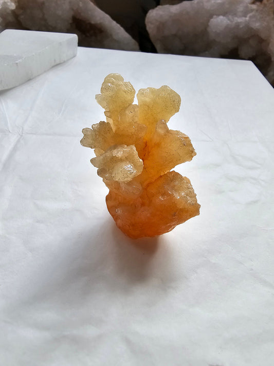 Small Coral Orange Calcite cluster / Onyx / Aragonite