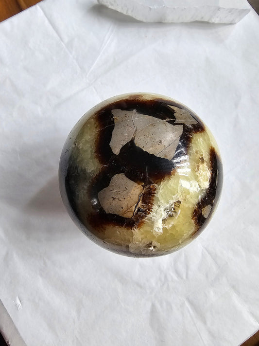 Dragon Septarian Sphere 6cm