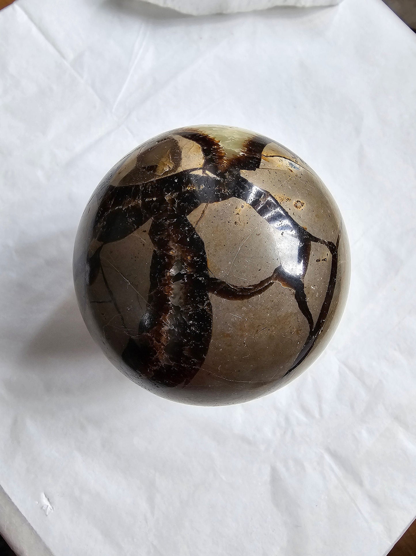 Dragon Septarian Sphere 6cm