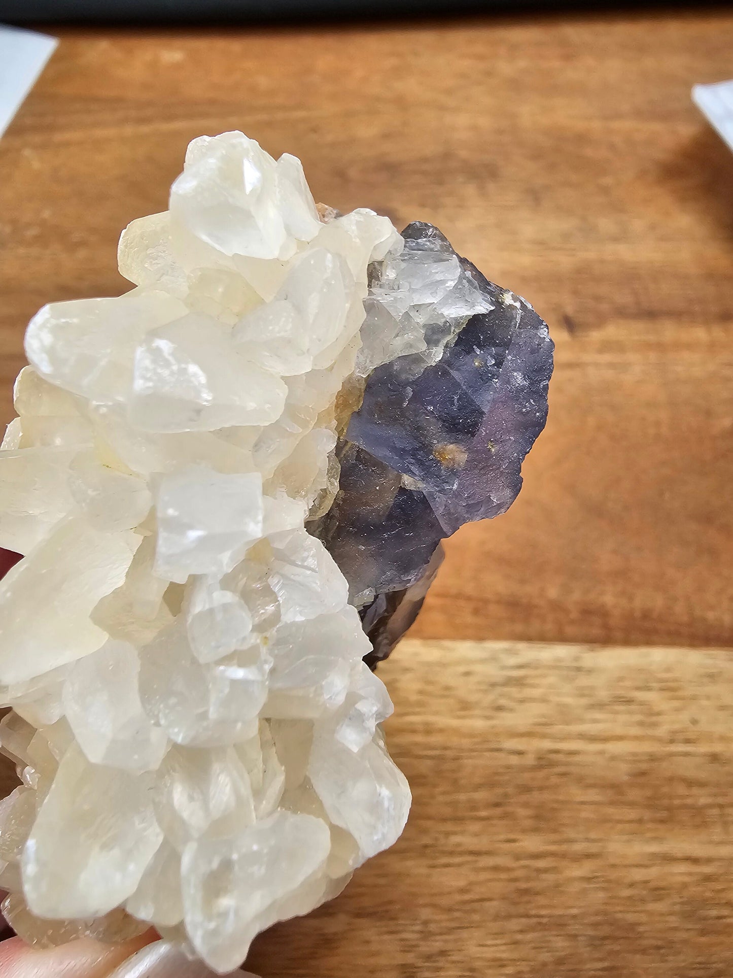 Rare Dog tooth Calcite cluster w/ Fluorite