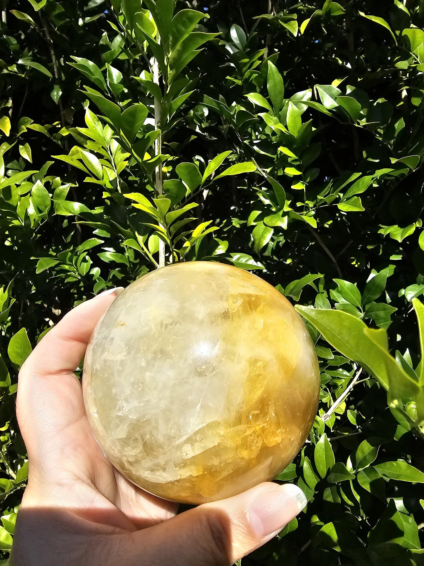 9cm Golden Healer Quartz Sphere / 1.2kg