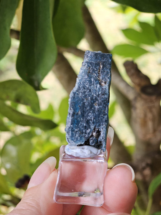 Cyan blue / Ocean Kyanite - Harts range NT Australia