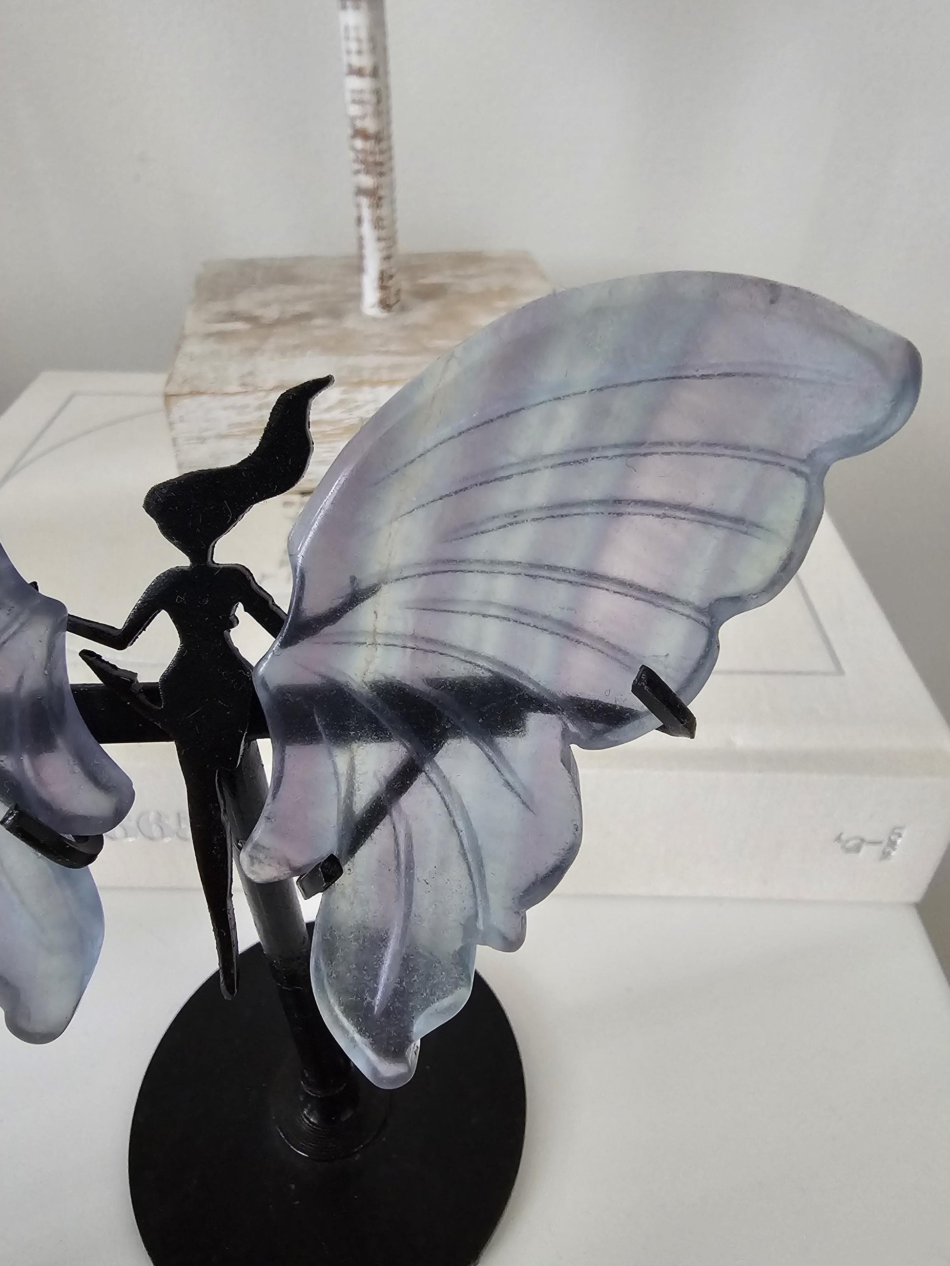 Blue and purple Fluorite butterfly