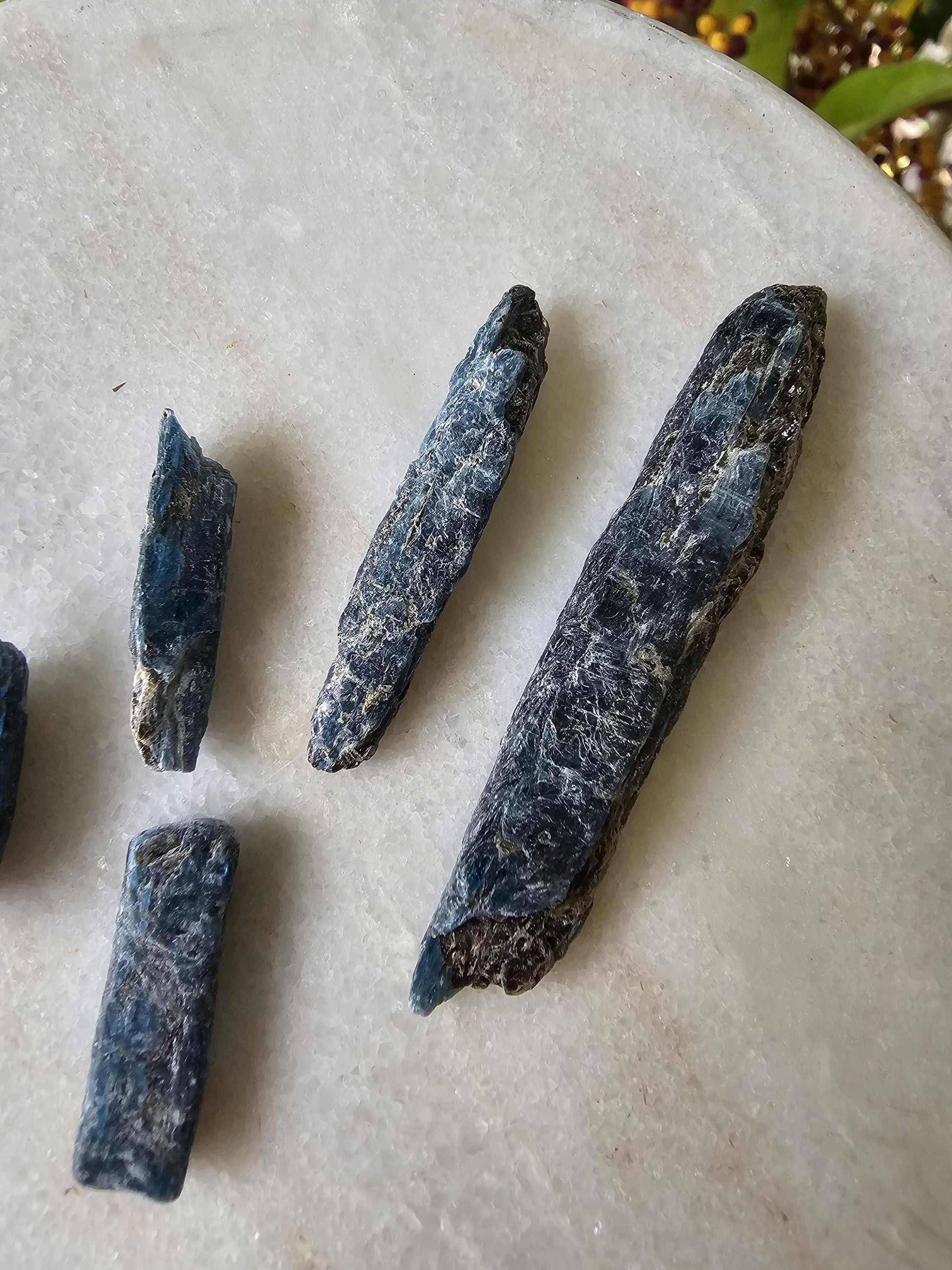 Ocean Kyanite blades - Harts range NT Australia / Cyan blue