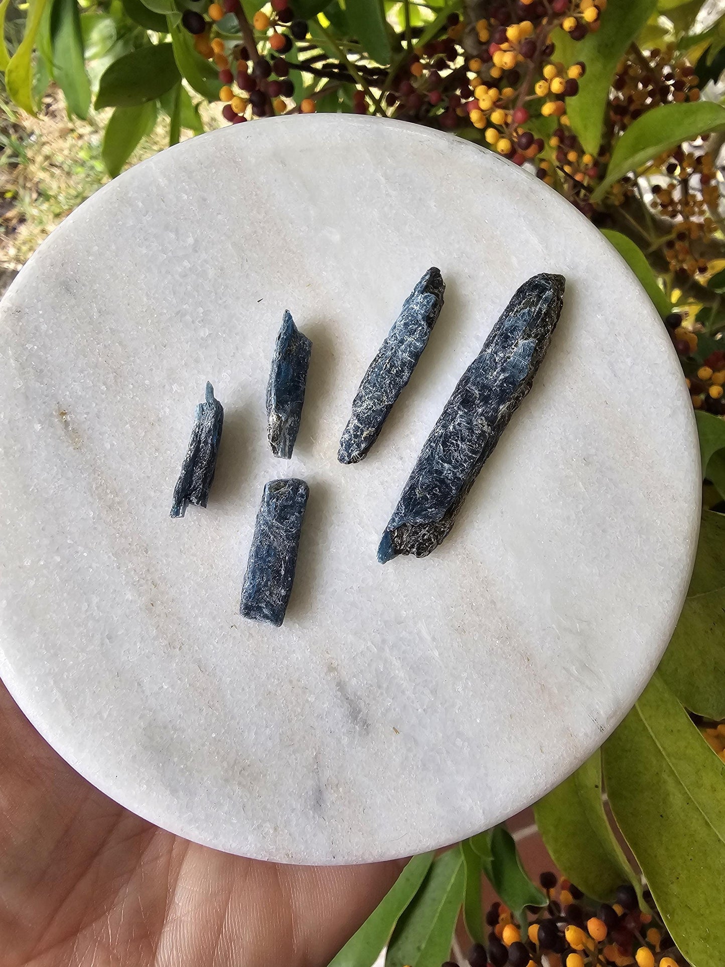 ocean kyanite blades