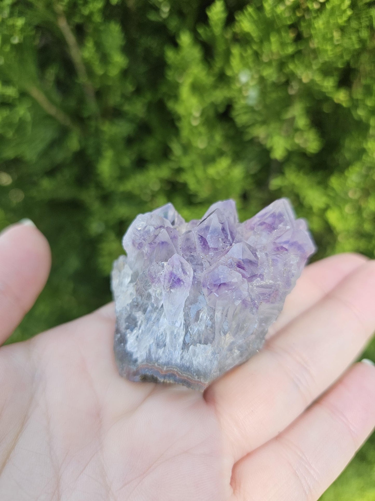 Amethyst Cluster / Sparkly