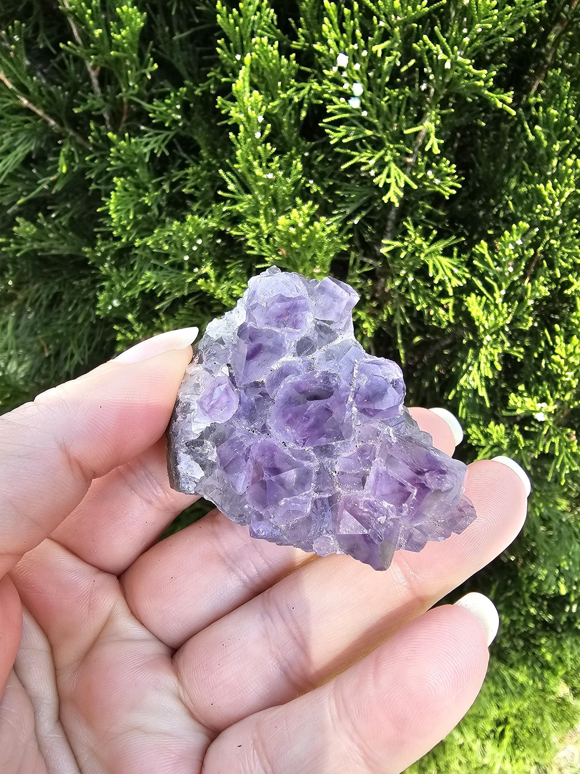 Amethyst cluster