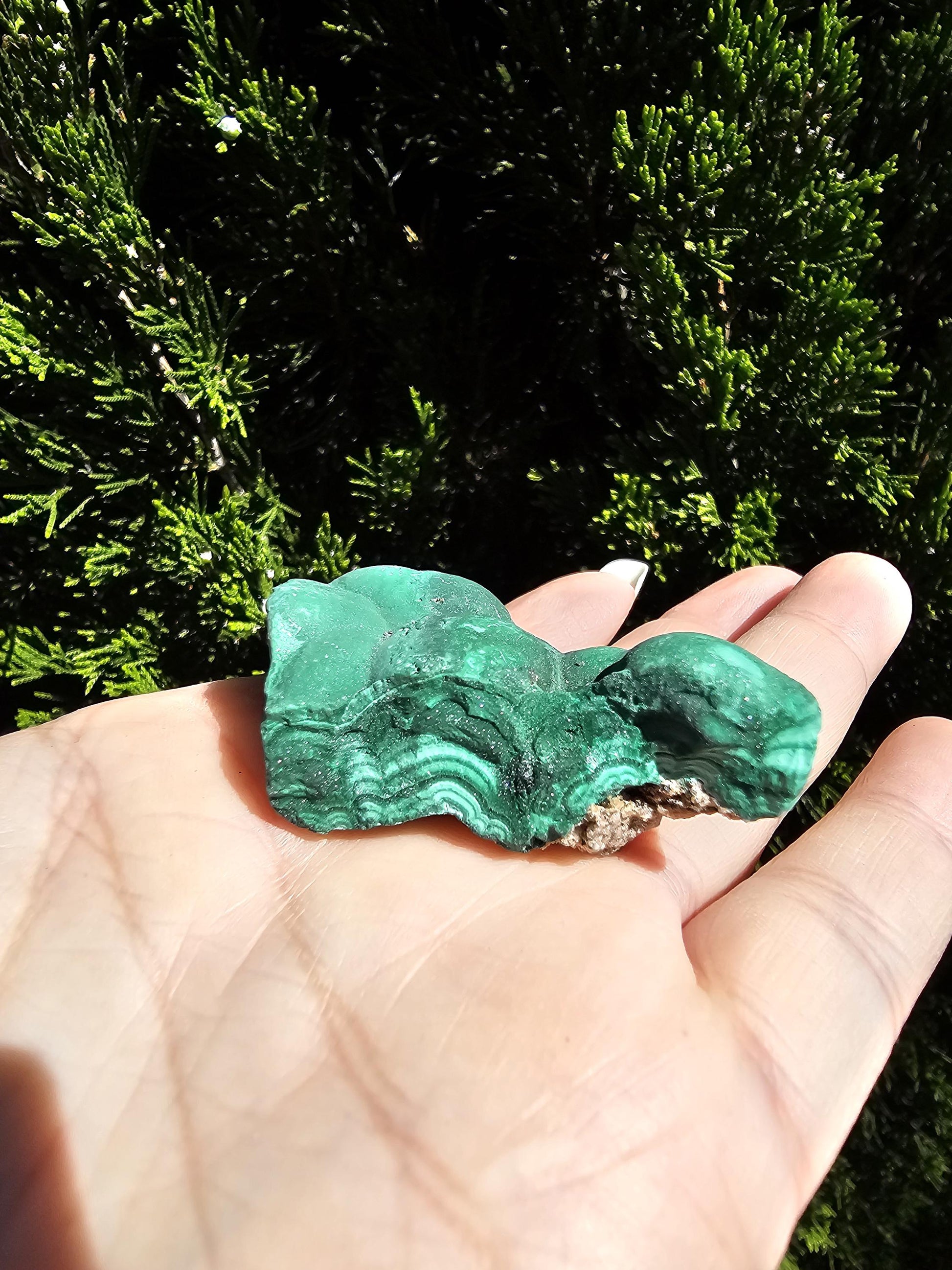 Botroidal Malachite Collectors