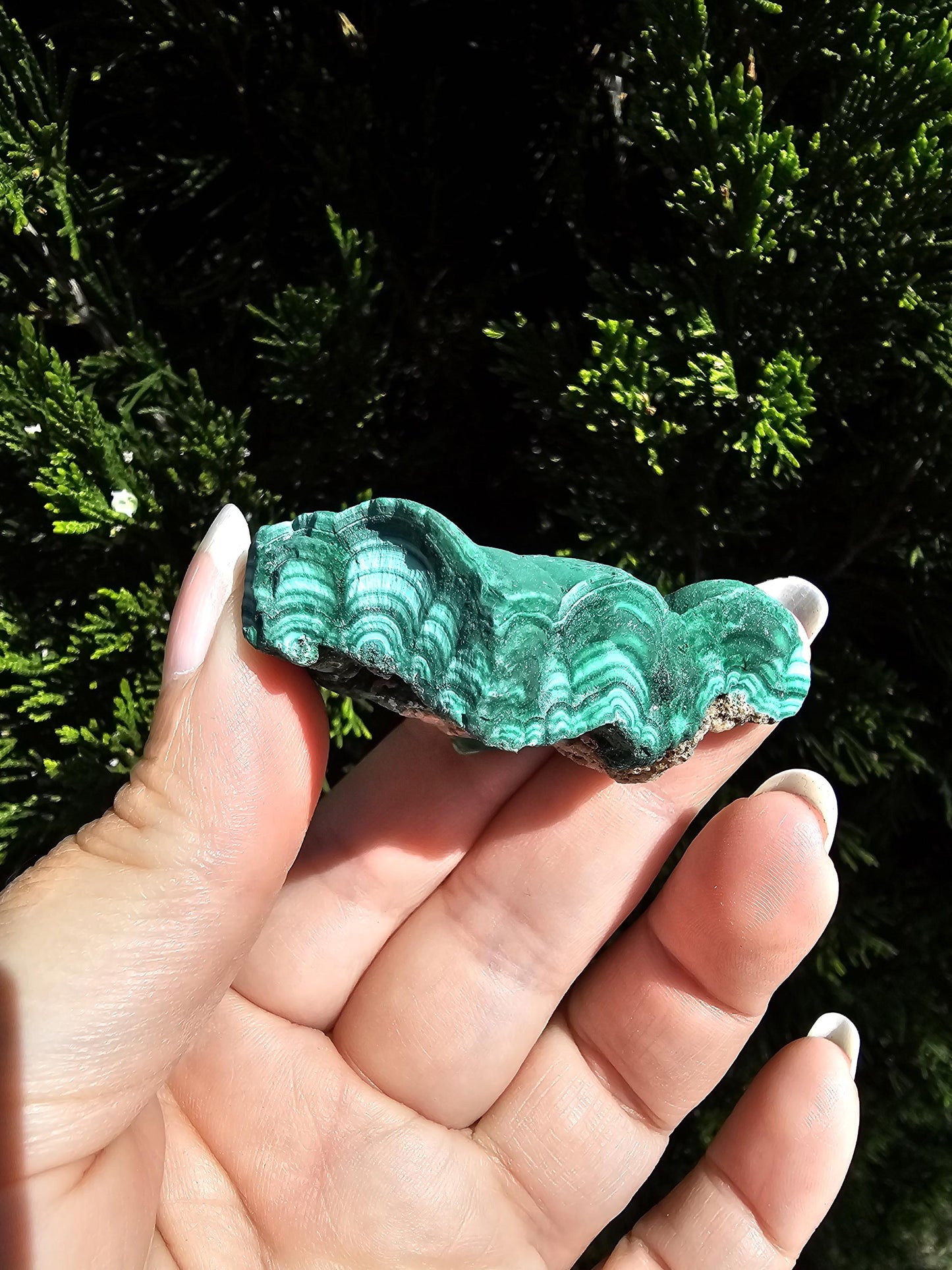 Botroidal Malachite with banding