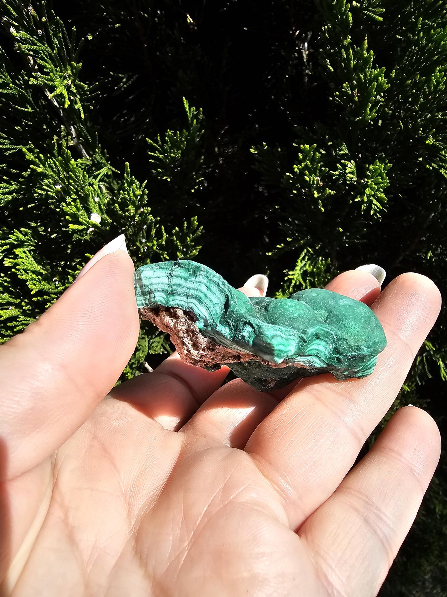 Botroidal Malachite with banding