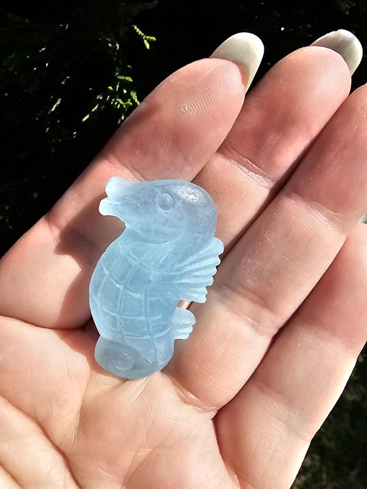 Aquamarine seahorse