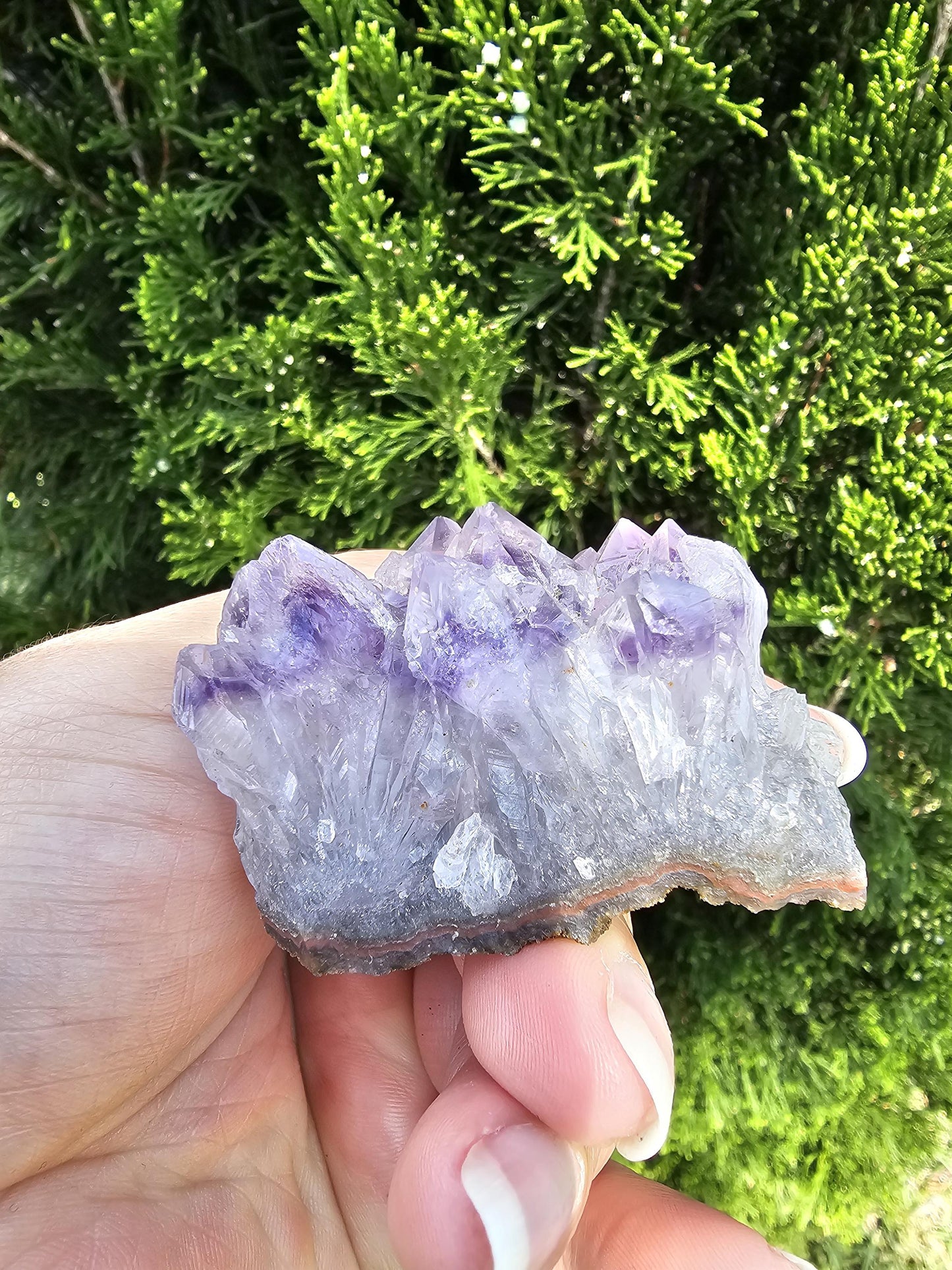 Amethyst Cluster / Sparkly