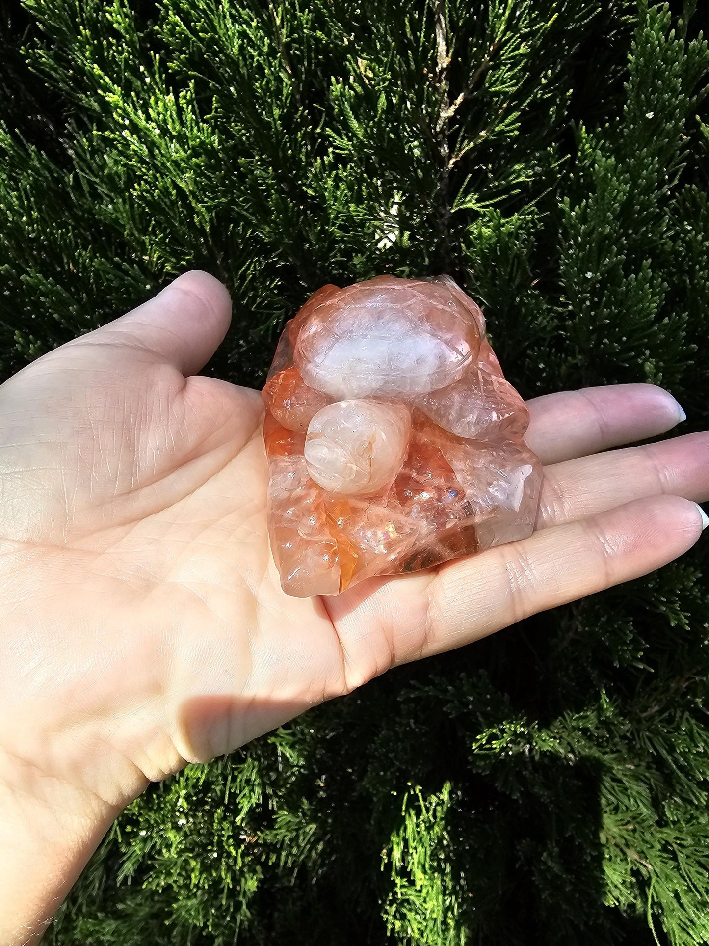 Turtle Fire Quartz / Crystal Carving