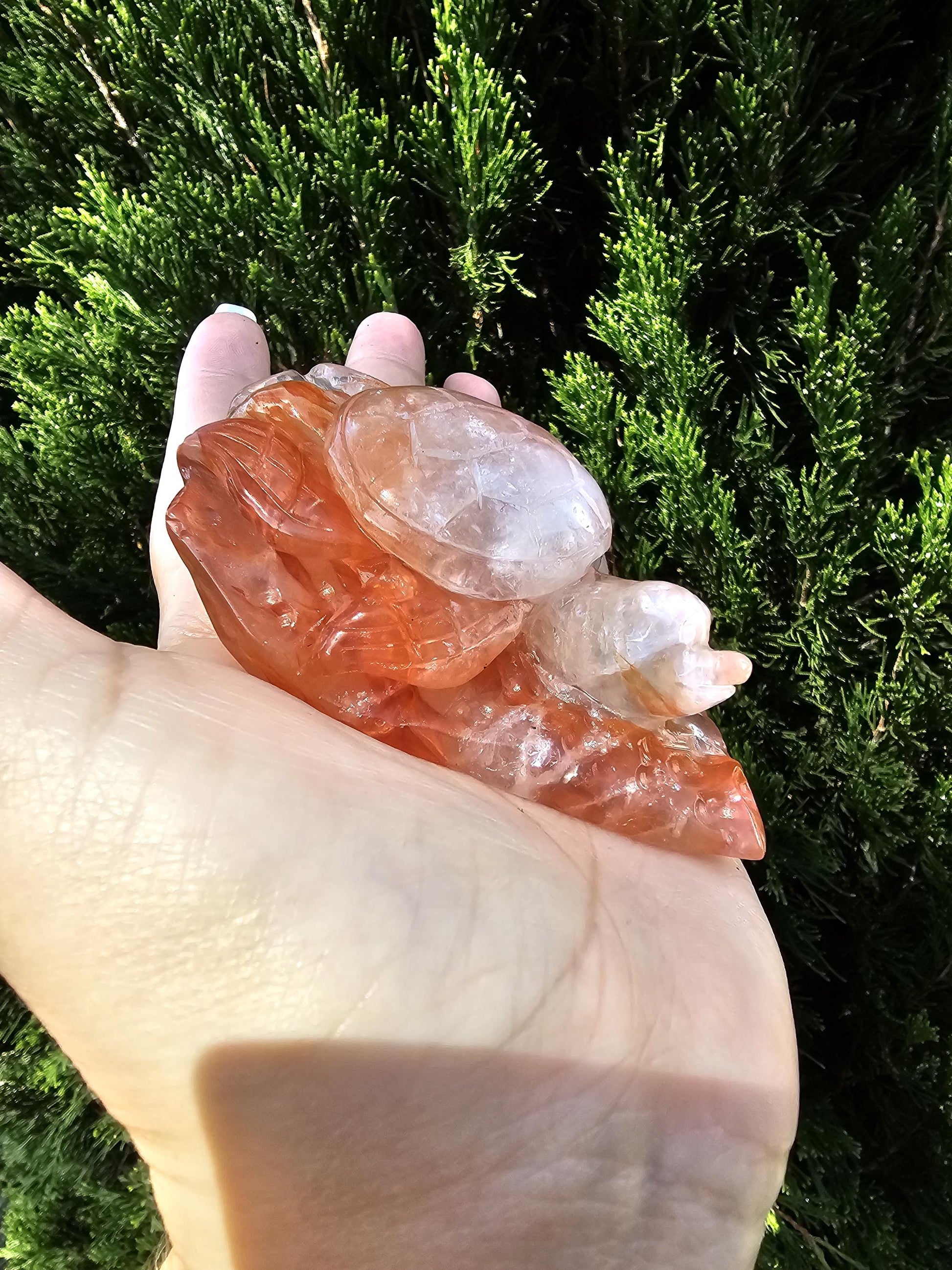 Turtle Fire Quartz / Crystal Carving