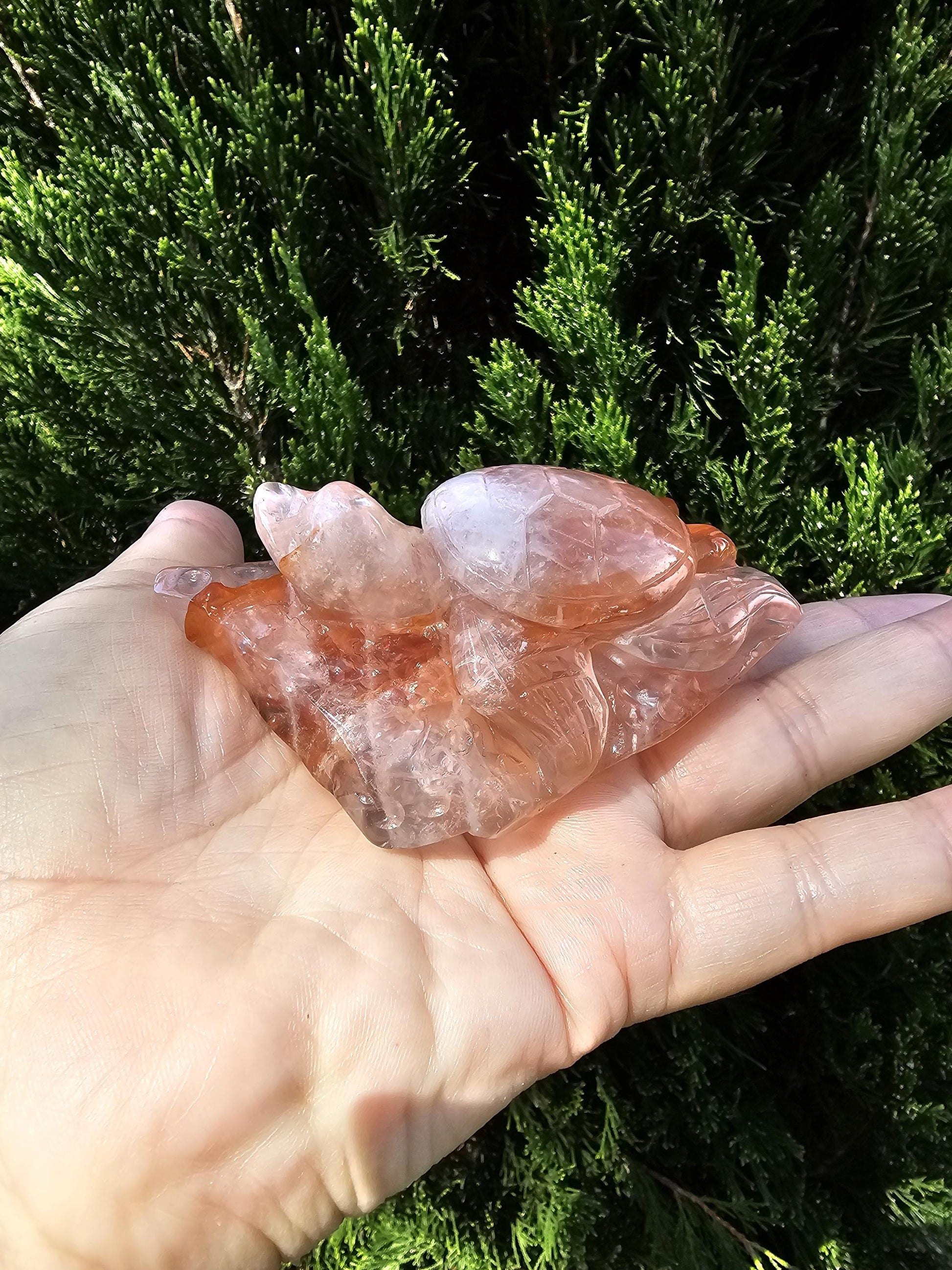 Turtle Fire Quartz / Crystal Carving