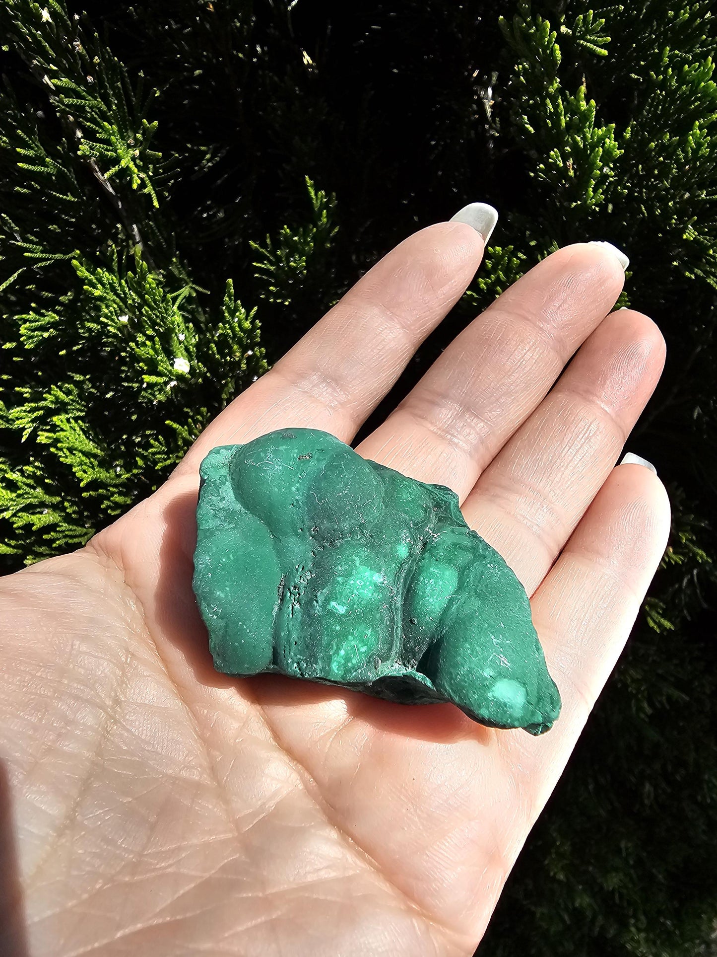 Botroidal Malachite with banding