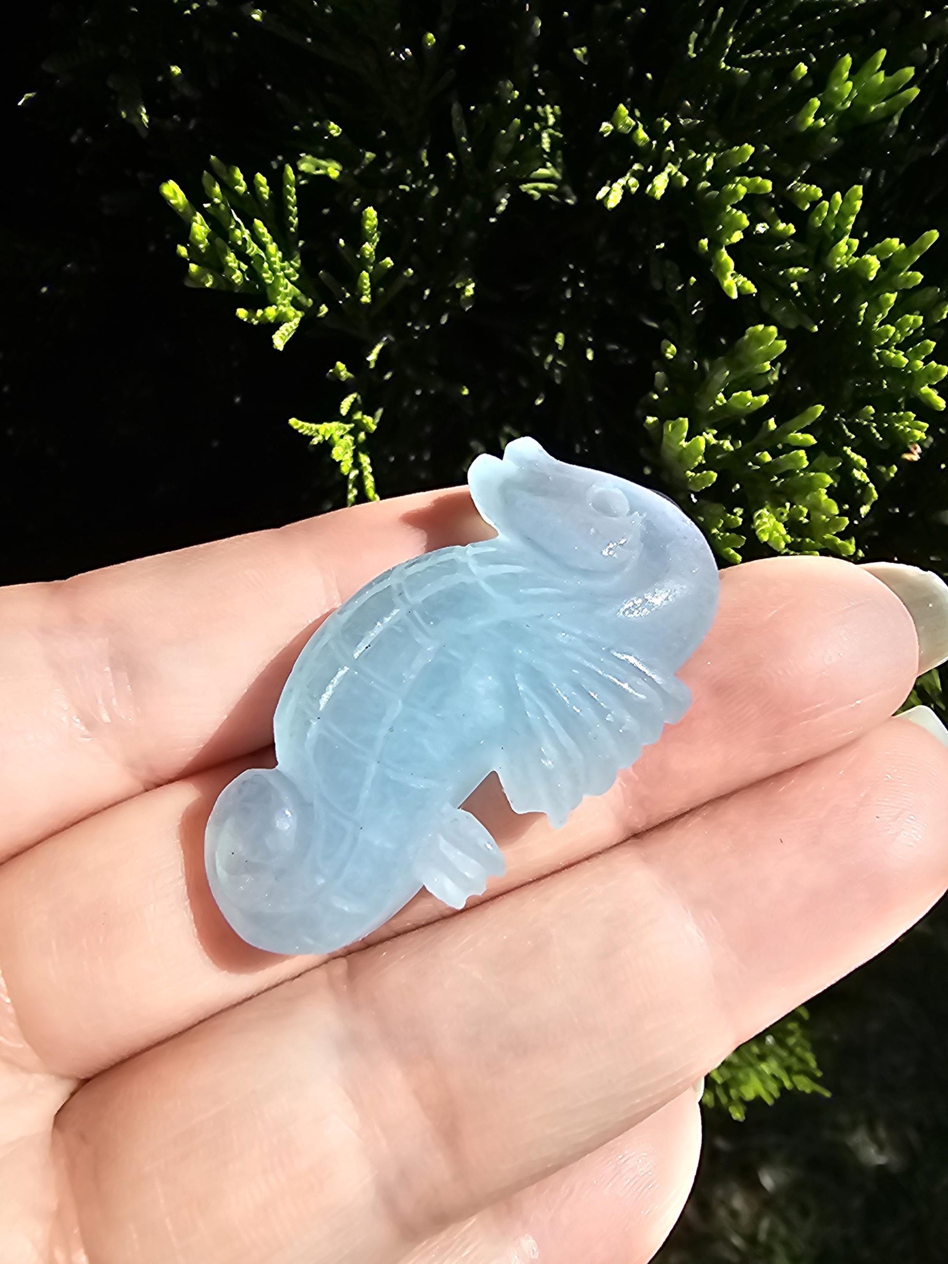 Aquamarine Seahorse carving