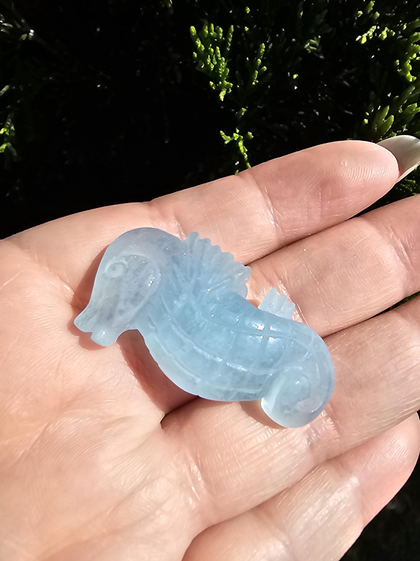 Aquamarine Seahorse carving