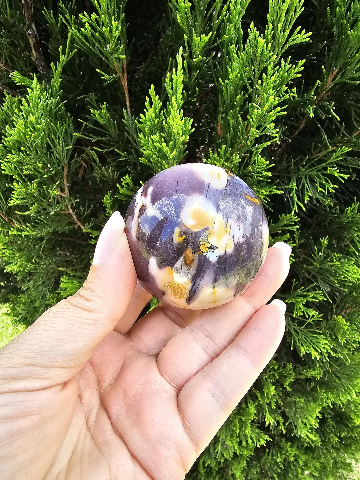 Western Australia Mookaite