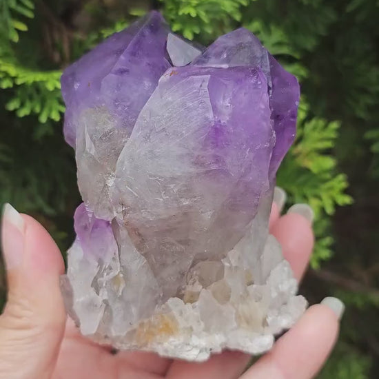 Amethyst triple point / cluster from Congo