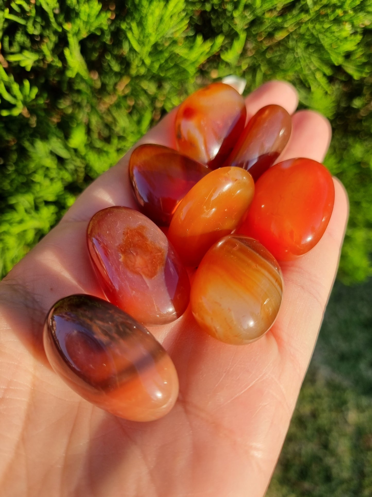 Carnelian tumbled stone - Universal Fate