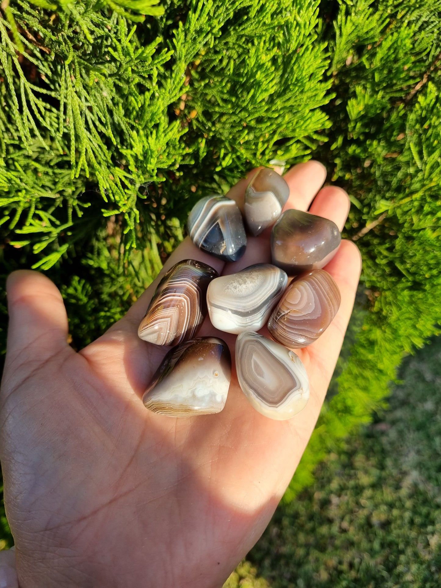 Botswana Agate tumble stone - Universal Fate