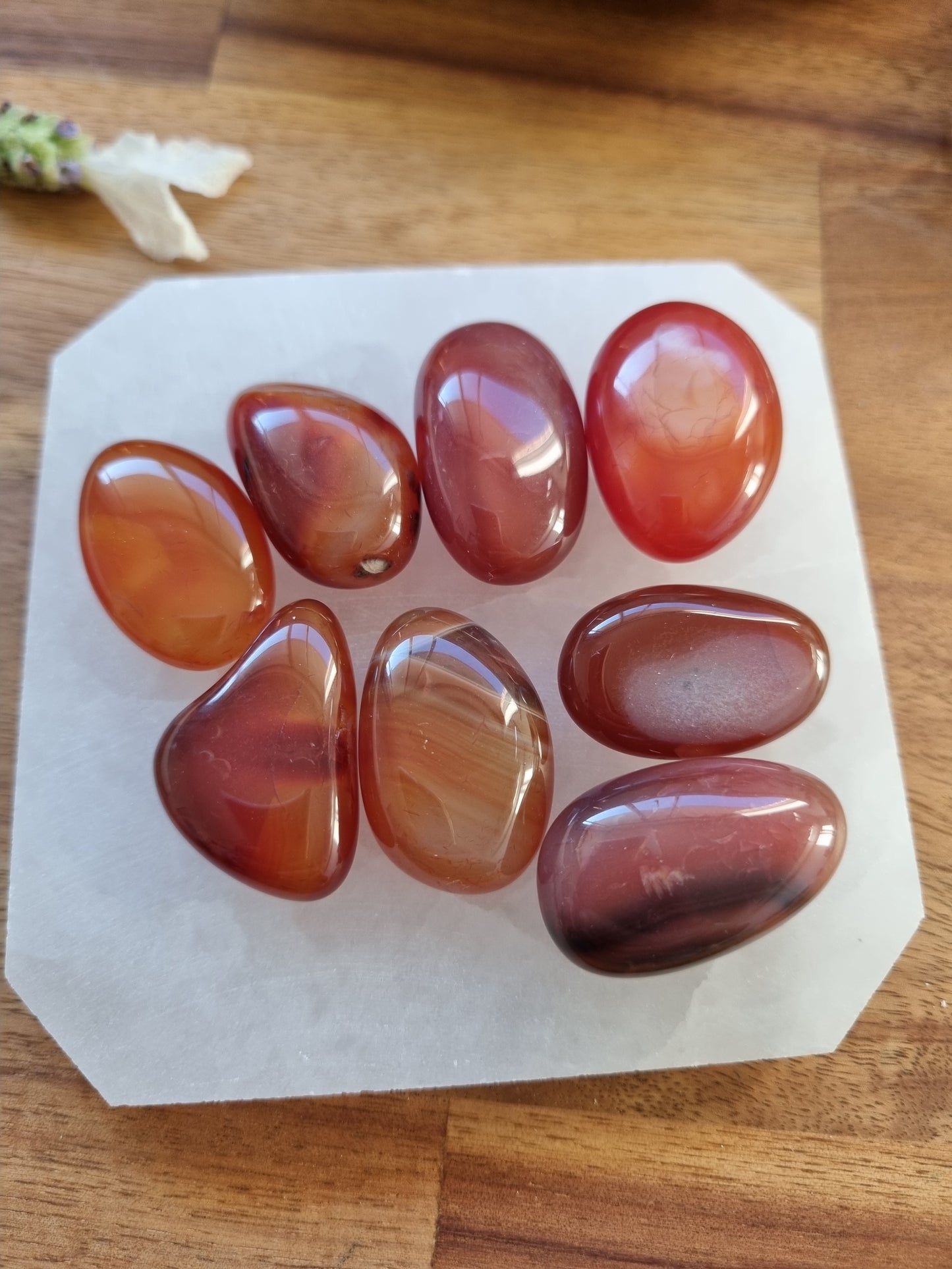 Carnelian tumbled stone - Universal Fate