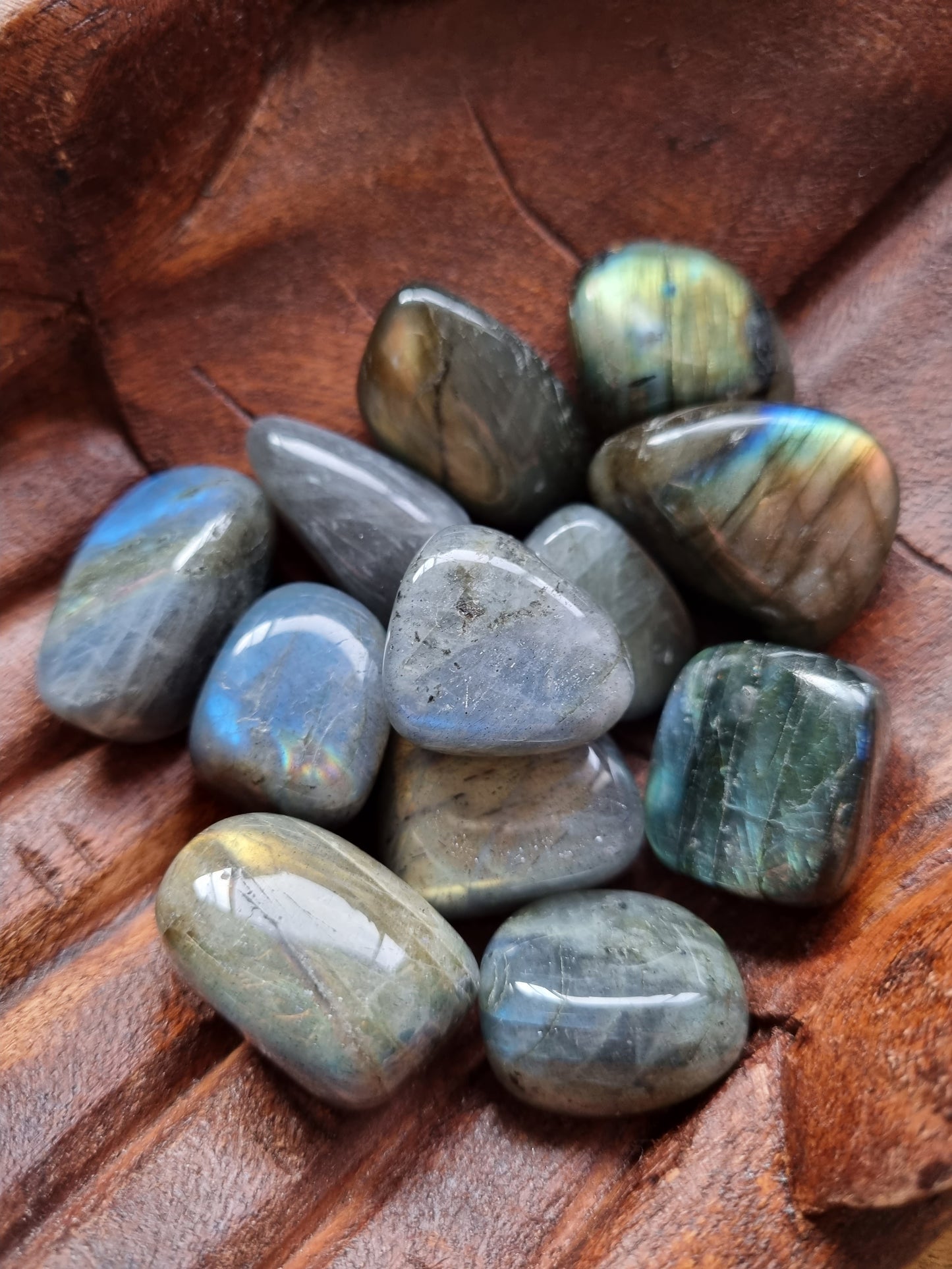 Large Labradorite Tumbles - Universal Fate