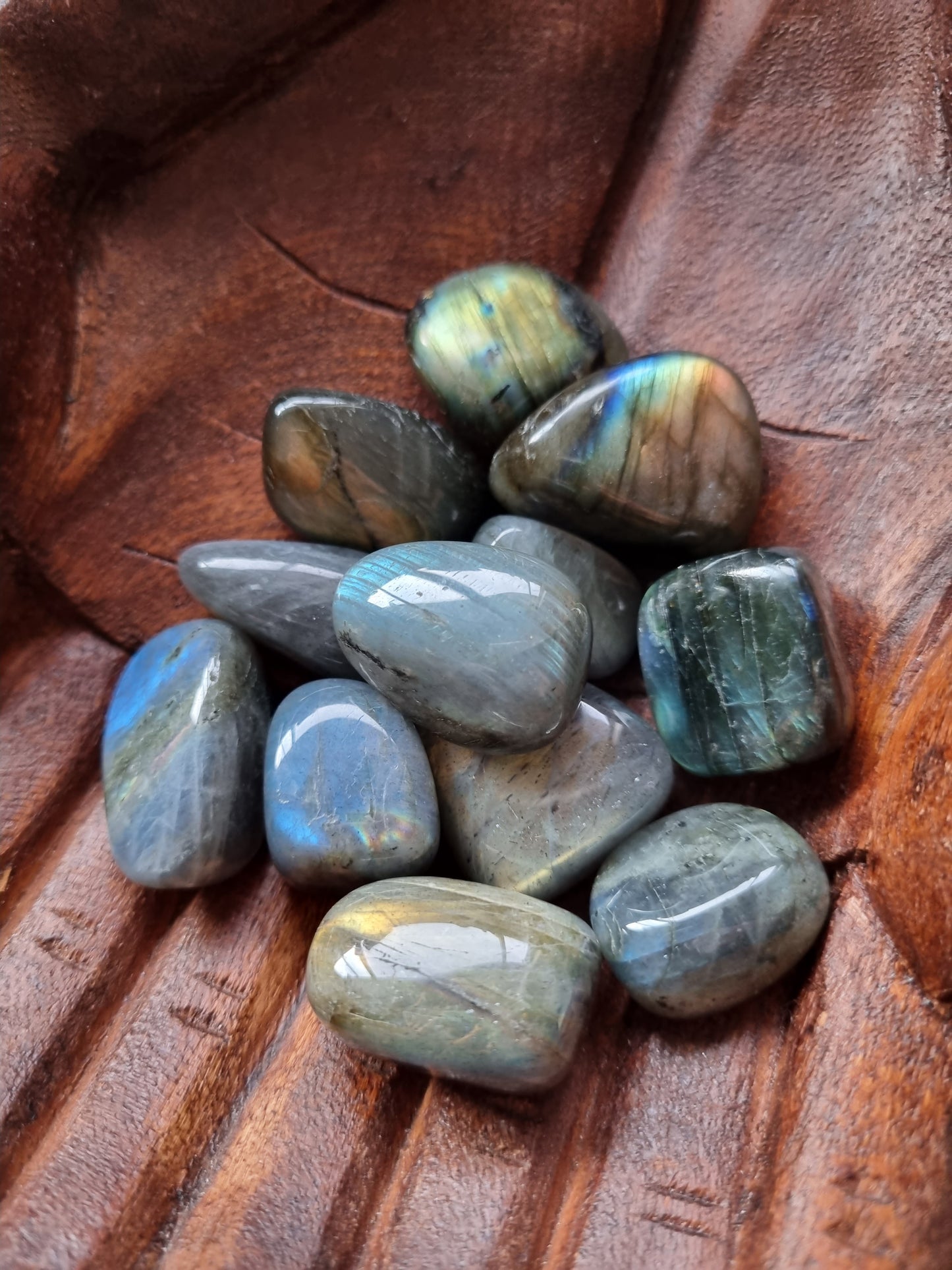 Large Labradorite Tumbles - Universal Fate