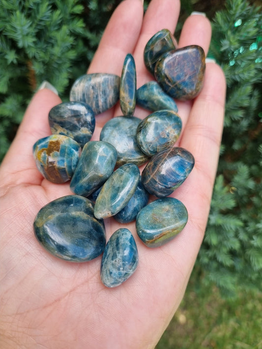 High Quality Blue Apatite Tumble - Universal Fate