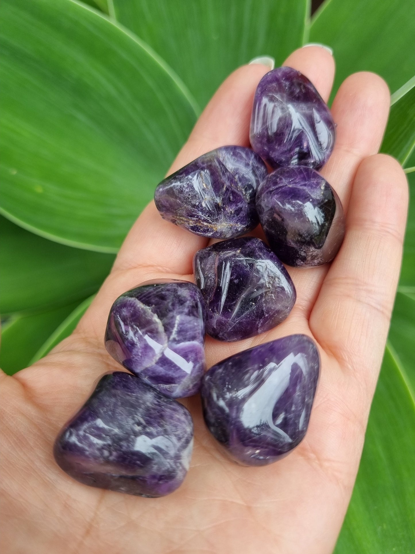 Dark Purple Amethyst Tumble - Universal Fate