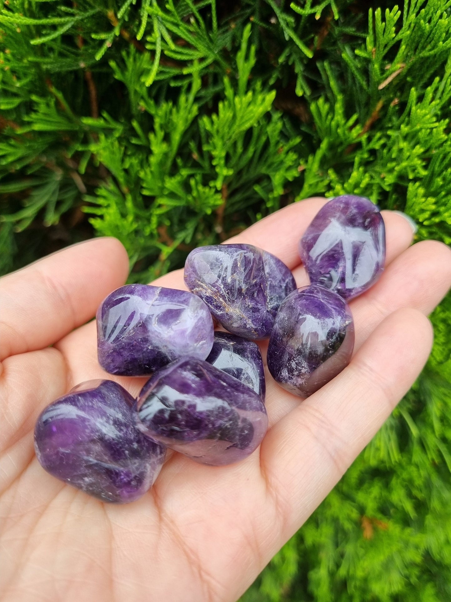 Dark Purple Amethyst Tumble - Universal Fate