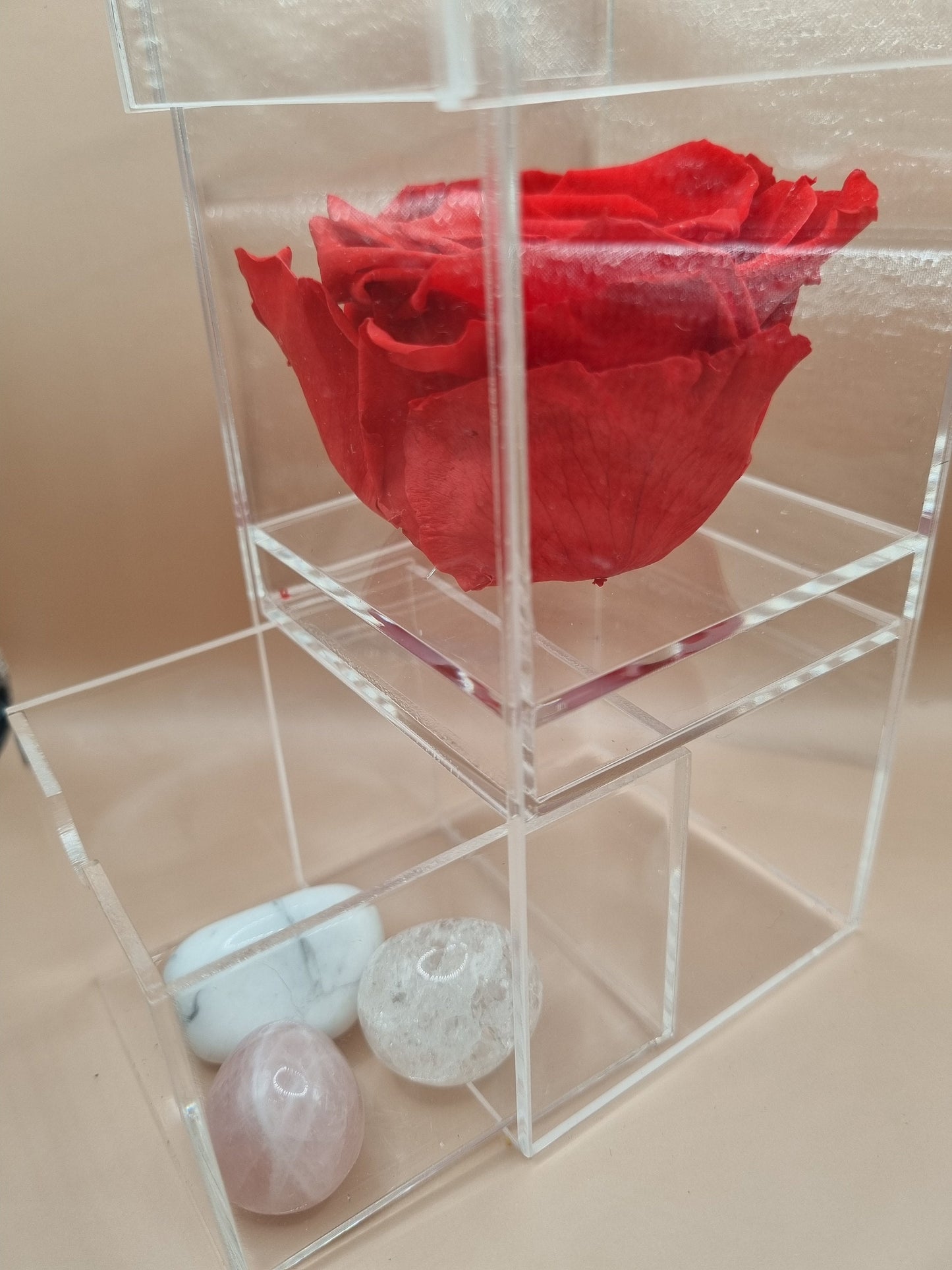 Infinity Single Rose in an Acrylic Trinket Box - Gift / Jewellery box - Universal Fate