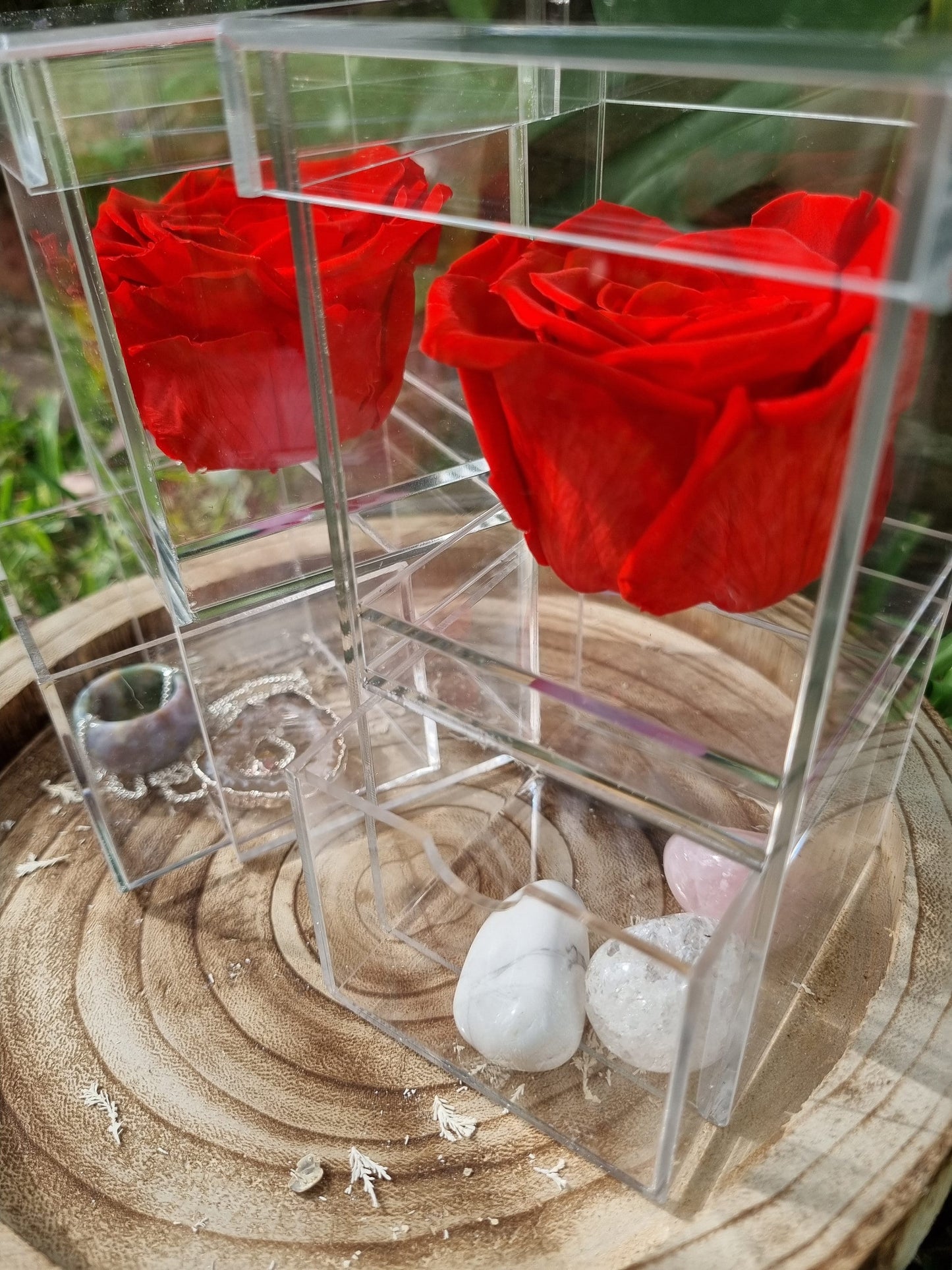 Infinity Single Rose in an Acrylic Trinket Box - Gift / Jewellery box - Universal Fate