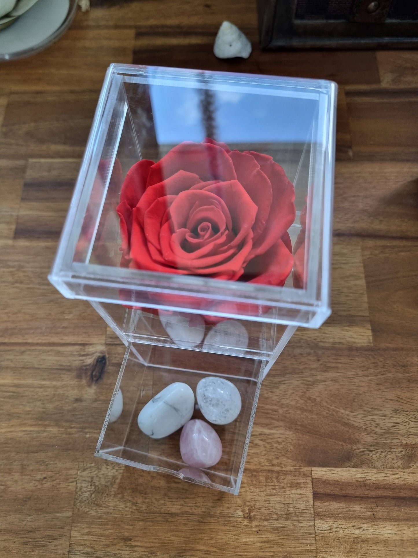 Infinity Single Rose in an Acrylic Trinket Box - Gift / Jewellery box - Universal Fate