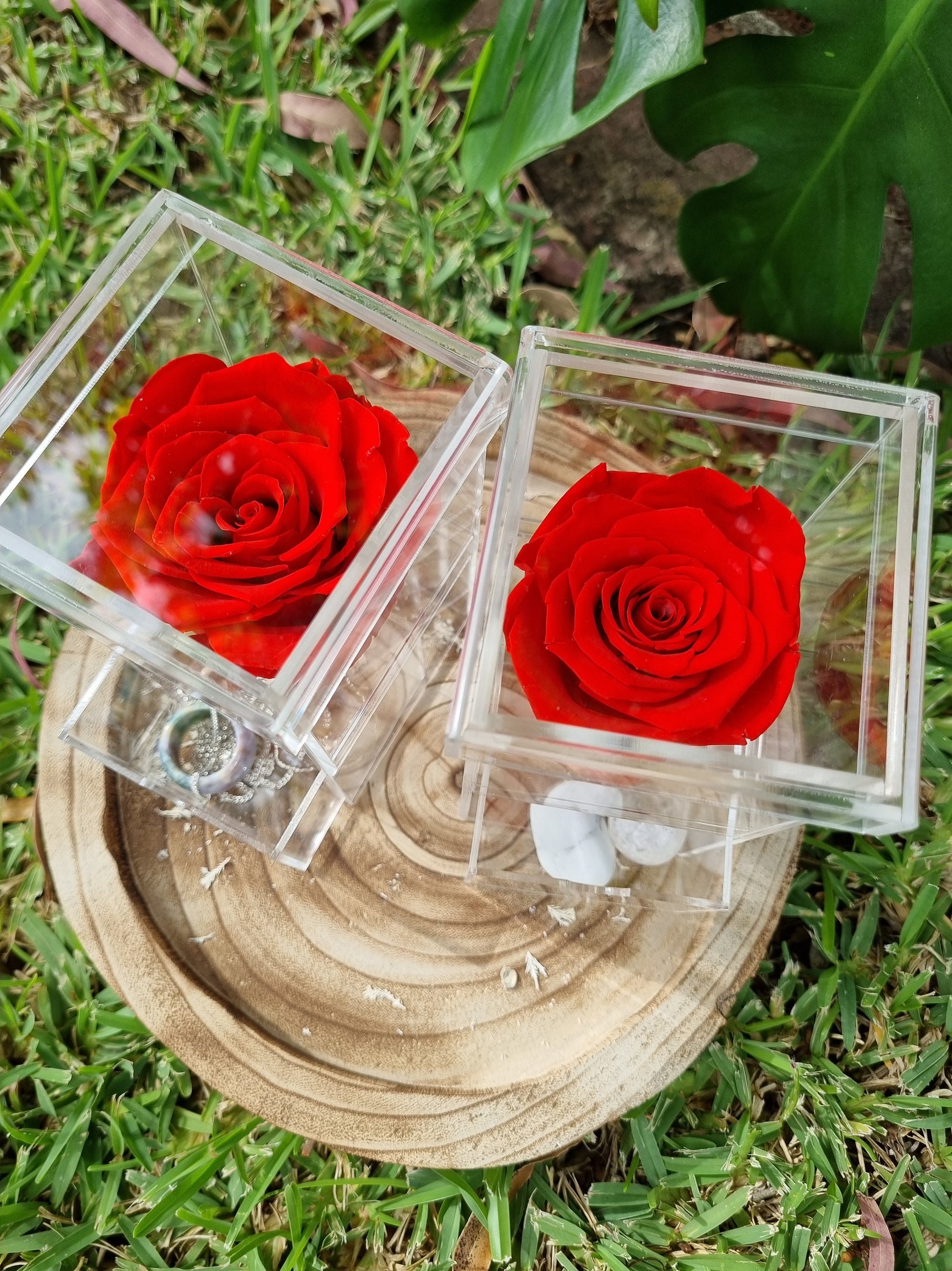 Infinity Single Rose in an Acrylic Trinket Box - Gift / Jewellery box - Universal Fate