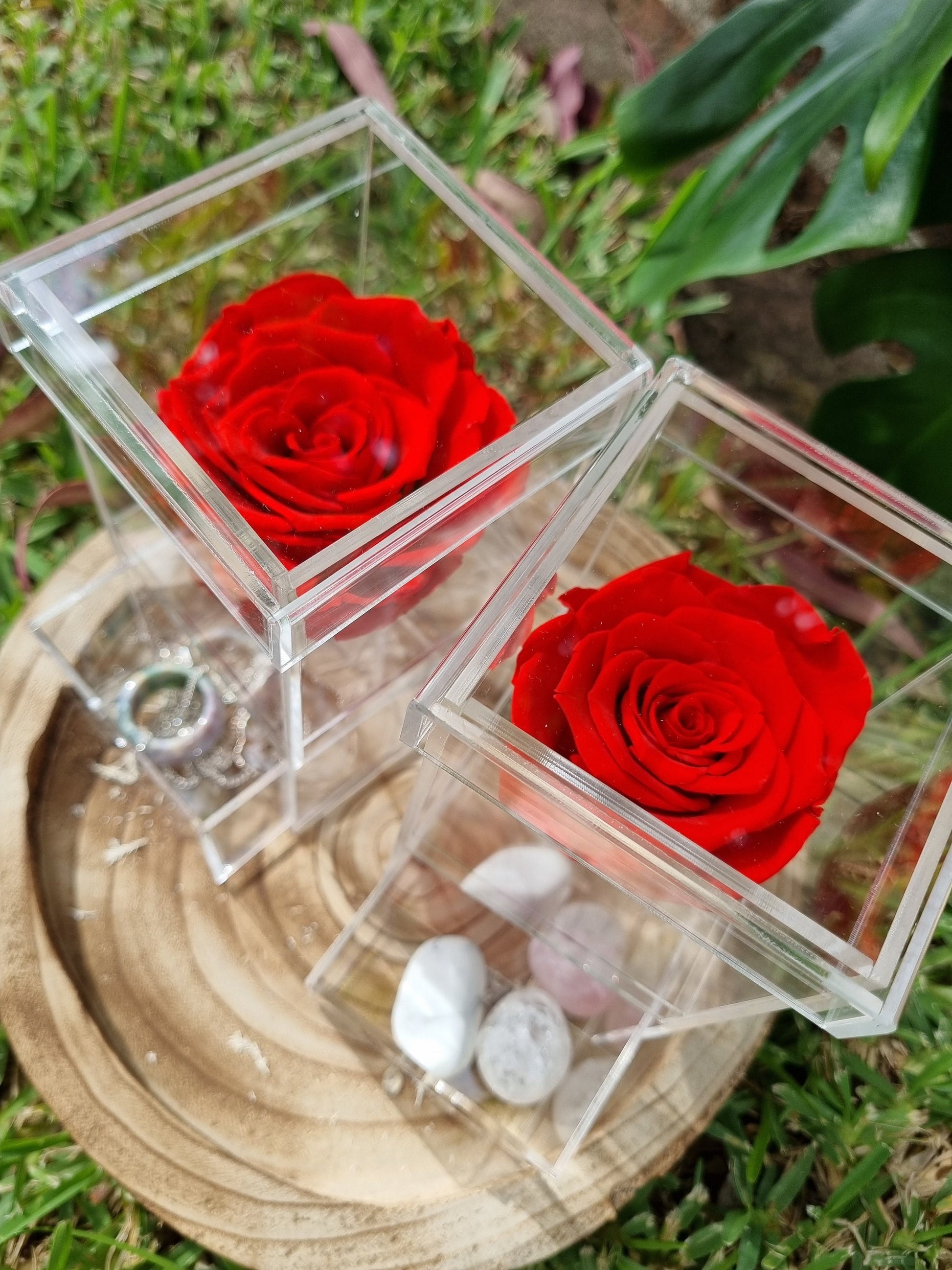 Infinity Single Rose Jewellery box 