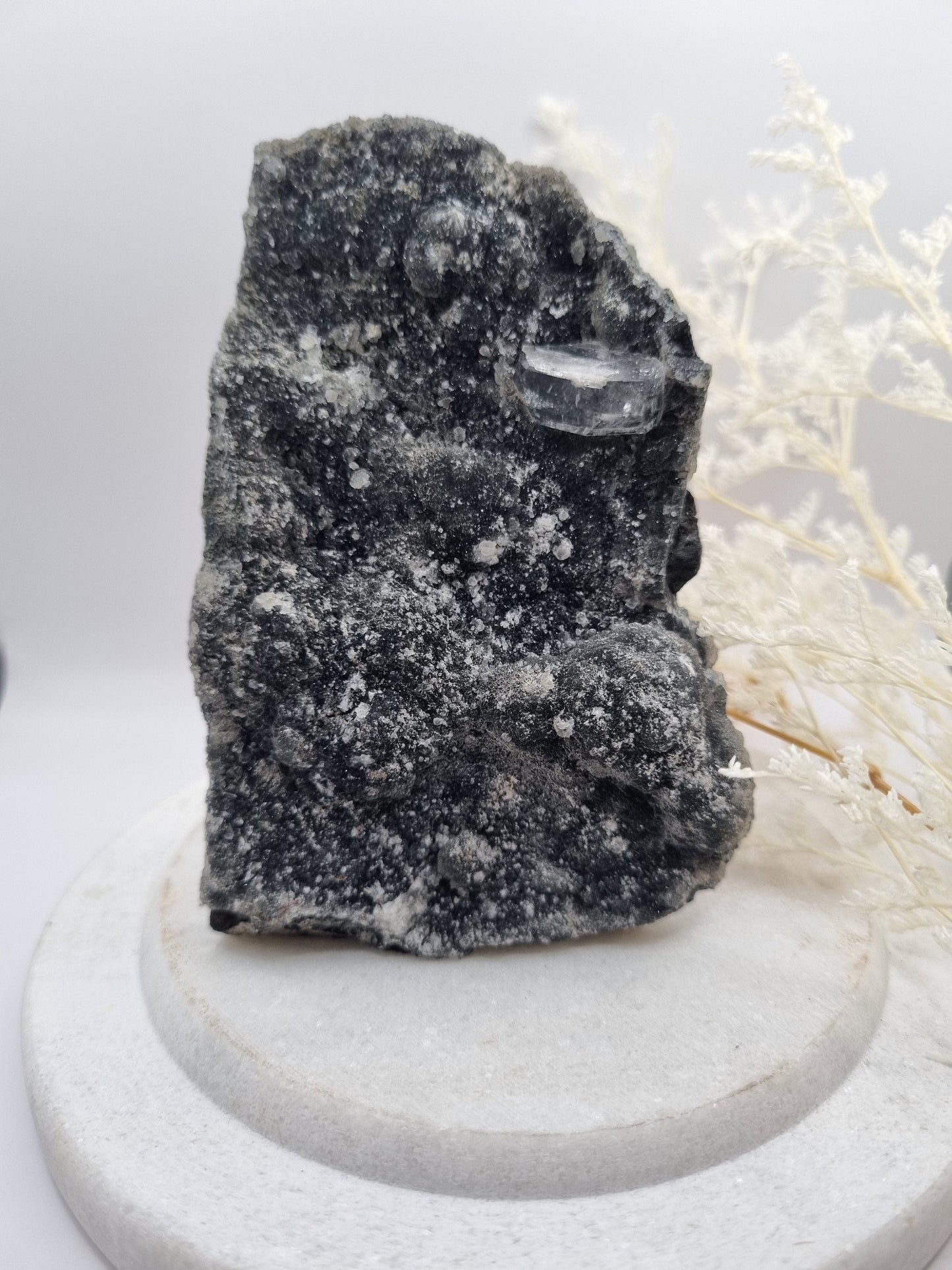 Stunning Black Amethyst With Sparkling Druzy And Apophyllite Inclusion - Universal Fate