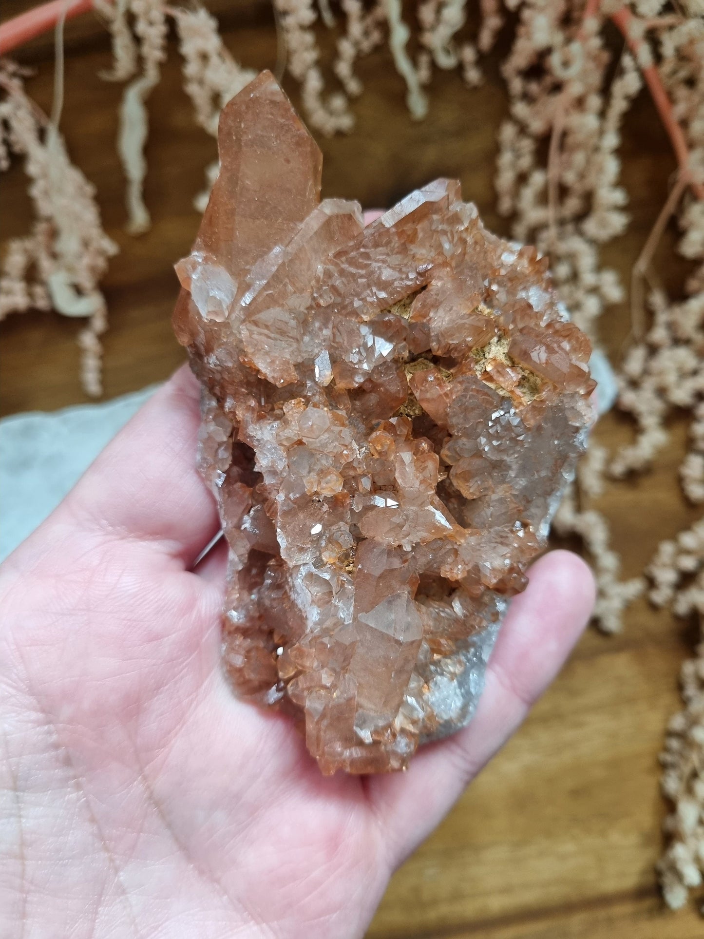 Tangerine Quartz Cluster 147grams - Universal Fate