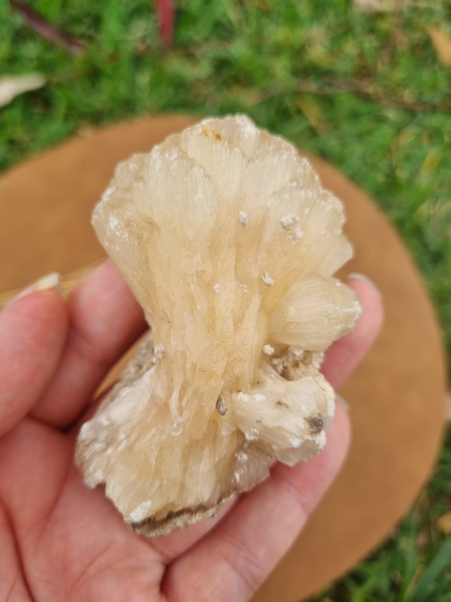 Stilbite Mushroom Cluster - Universal Fate