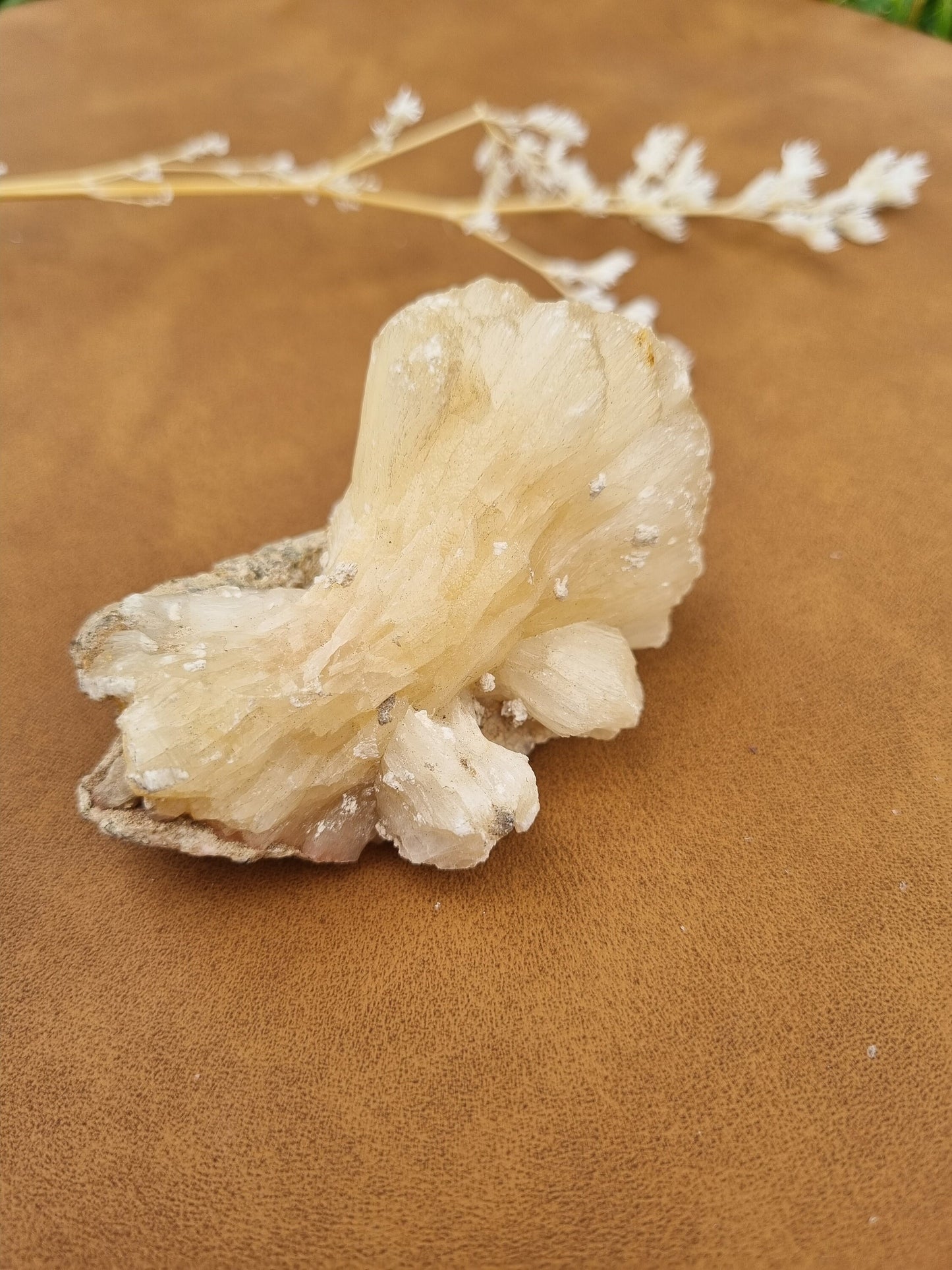 Stilbite Mushroom Cluster - Universal Fate