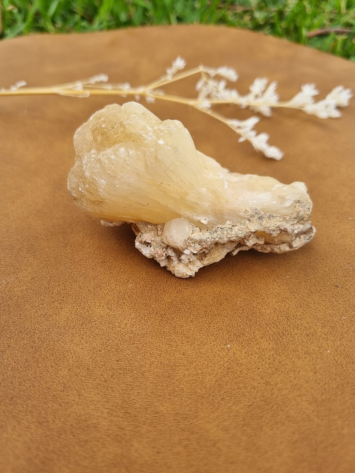 Stilbite Mushroom Cluster - Universal Fate