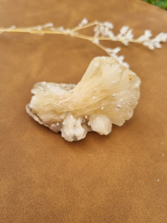Stilbite Mushroom Cluster - Universal Fate